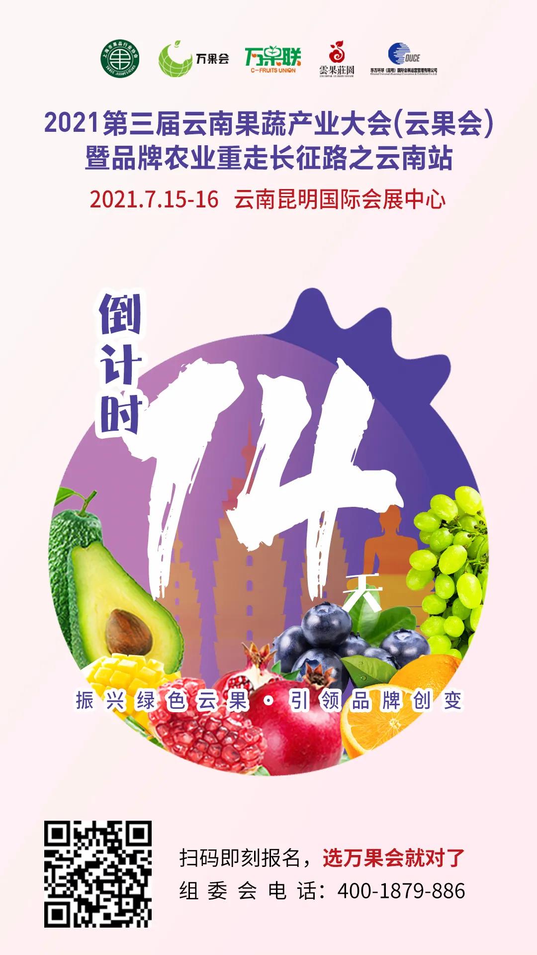 C位出道亮相山城！连续霸榜的广东荔枝到底有啥魔力？