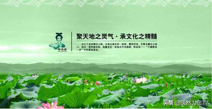 荷叶分布在哪里,哪里的荷叶是最好的