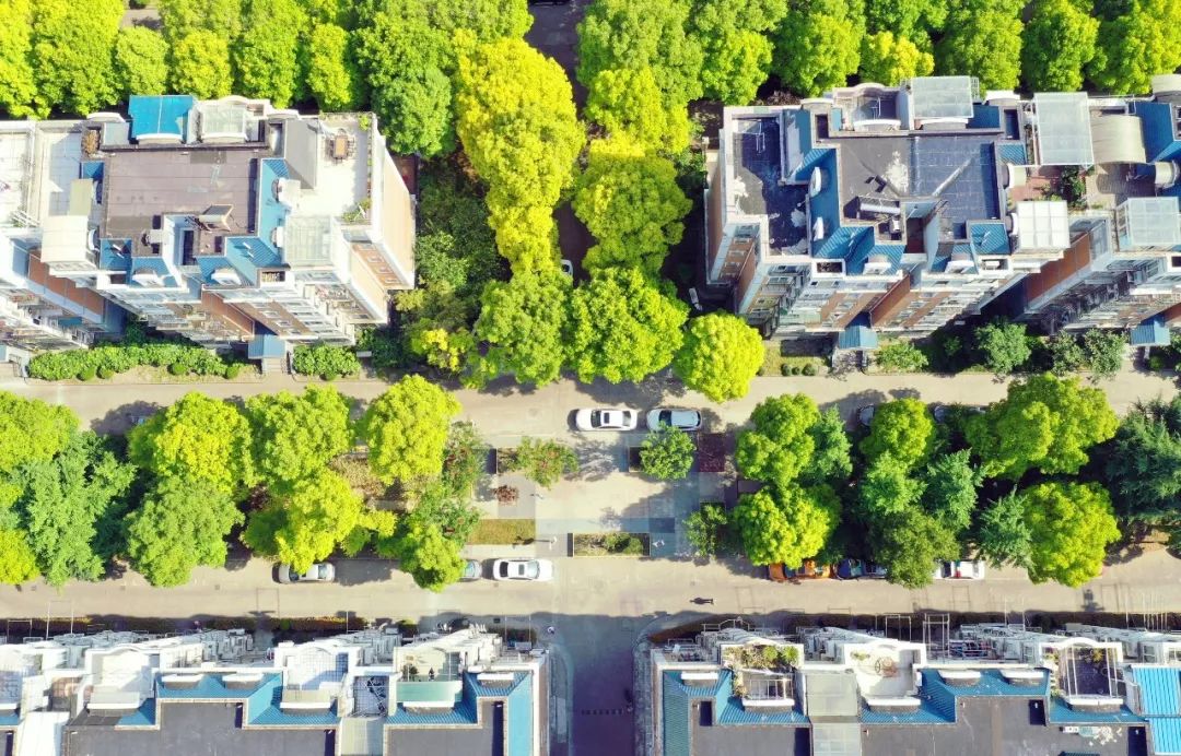 缤纷社区模式,成都缤纷社区微网格