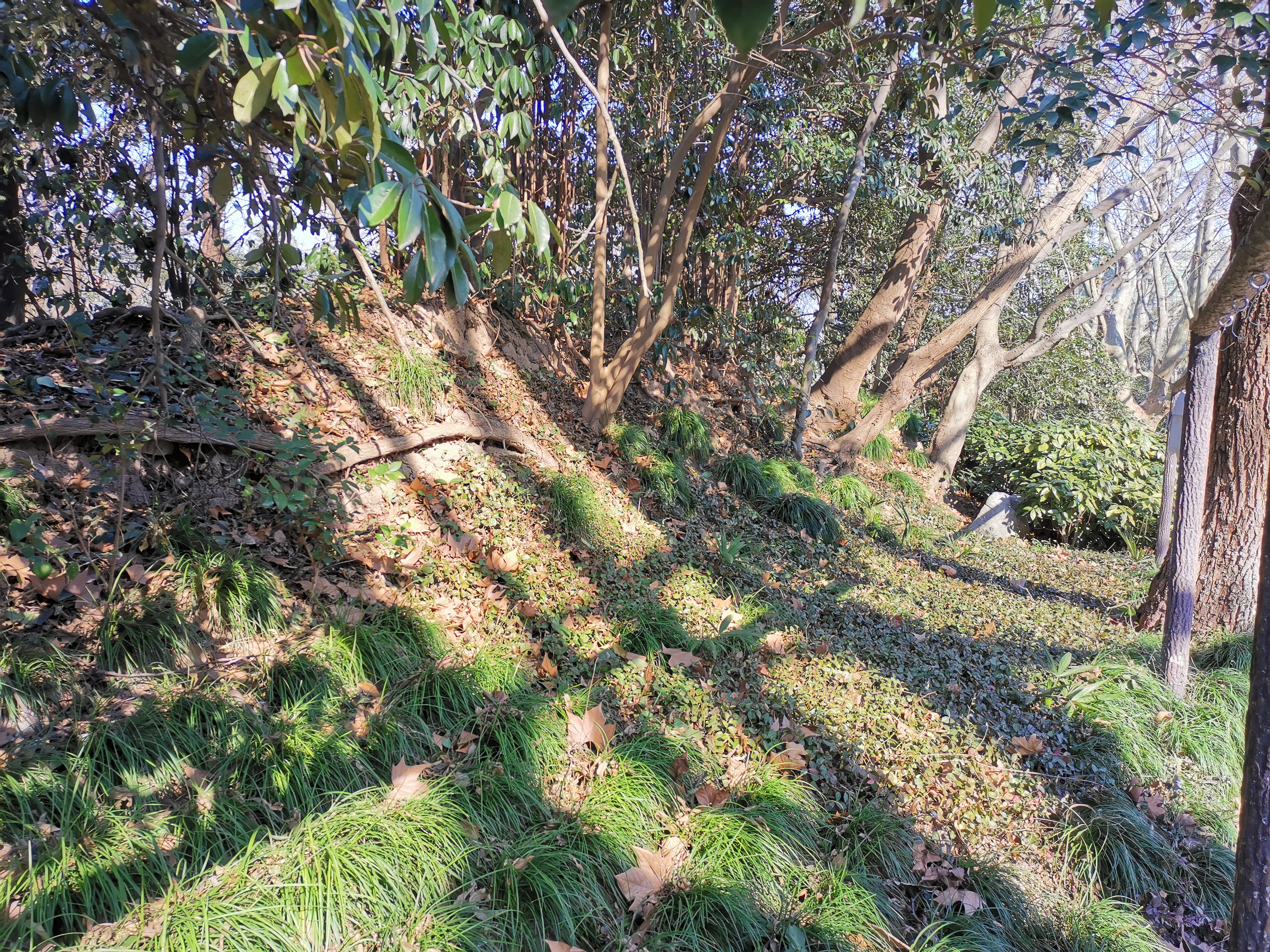 淞沪抗战纪念公园,广东游客淞沪抗战纪念馆