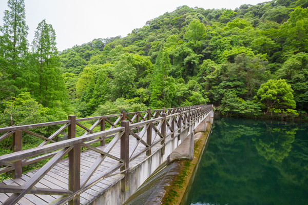 深藏在森林之中的温泉酒店，周末度假的好地方