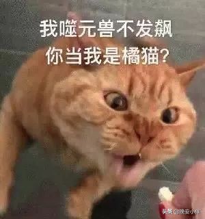 发出去的红包过期了怎么没退回来,微信发的红包对方不收还能回来吗