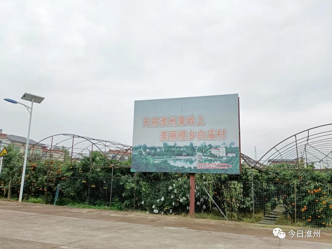 淮口景区,淮口附近旅游景区推荐一下