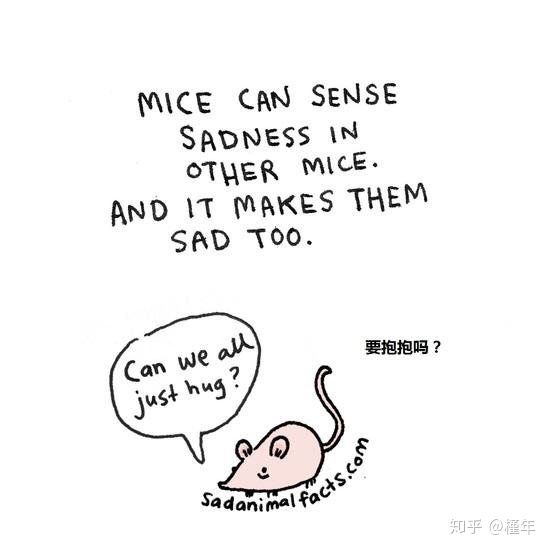 想象中不一样的动物冷知识,悲伤的动物视频