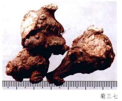 中药材真伪鉴别常用的方法有哪些,中药材真伪鉴别彩色图谱大全