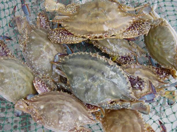 90后小伙年赚200万的绝招开超市,90后小伙开餐馆致富