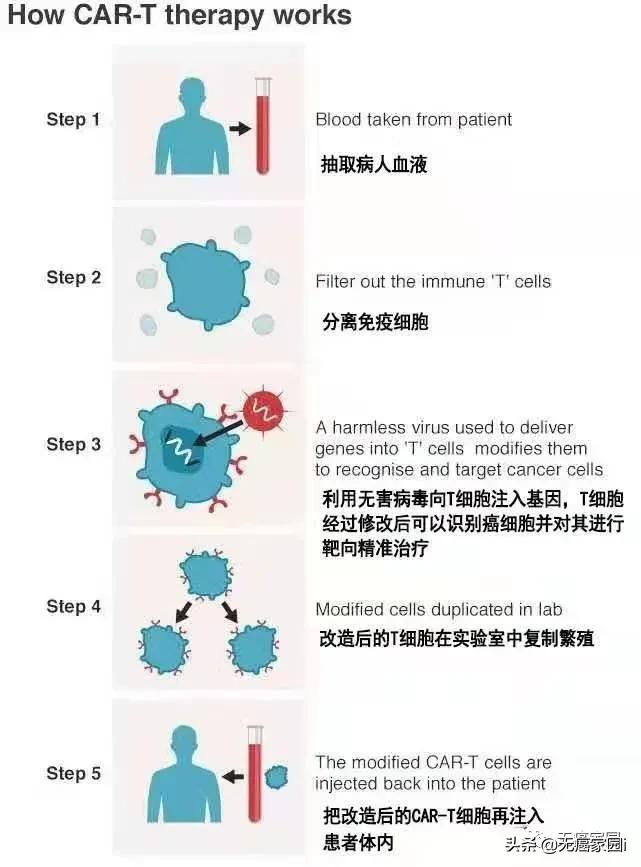 他们带着癌症幸存者标签，活得精彩！这些重磅新药新技术值得关注