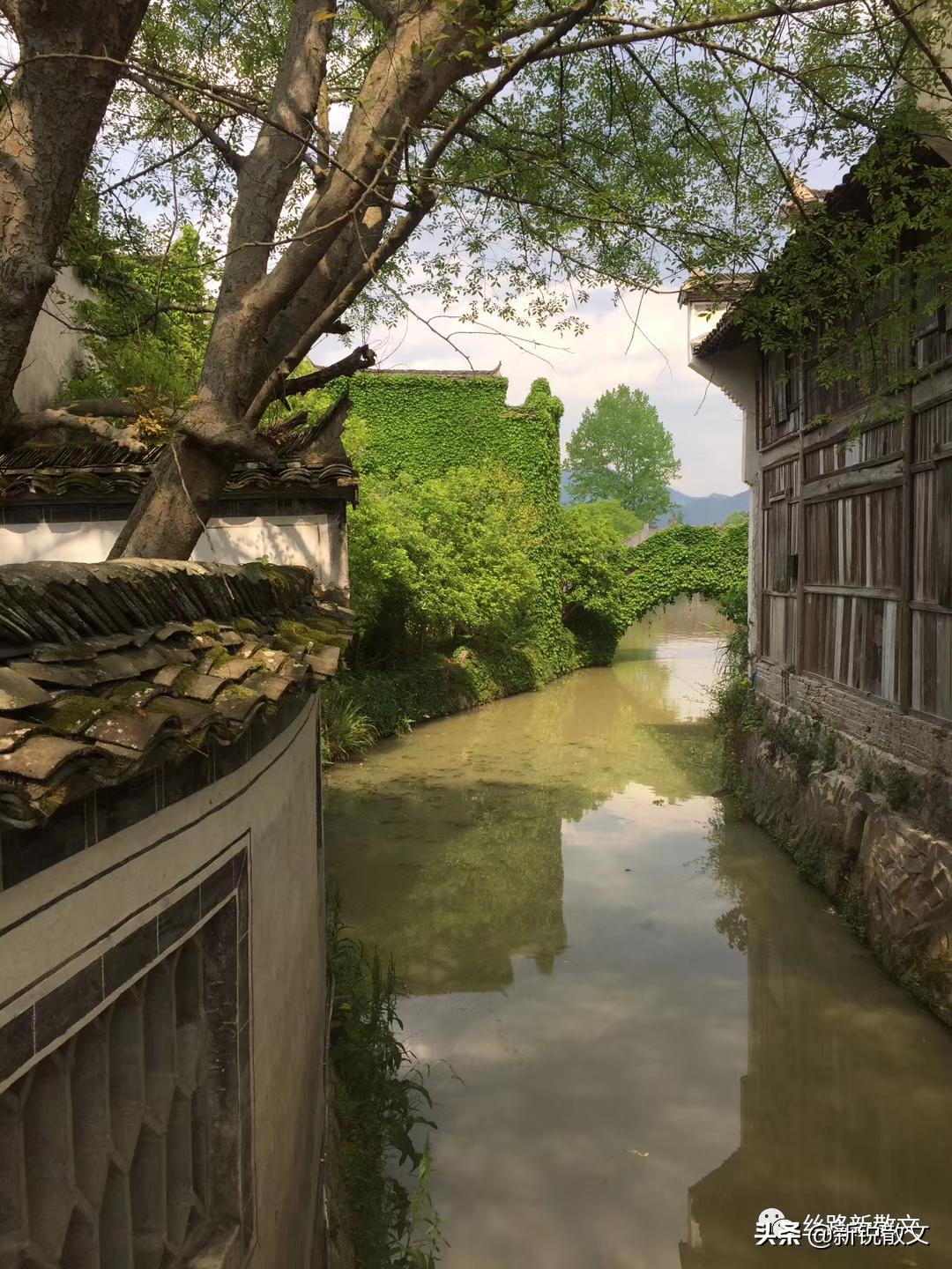 郭芙蓉白展堂同福客栈,同福客栈展堂全集完整版