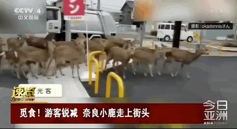 疫情过后得有多少人下岗,疫情失业快一年