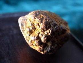 宇宙科普类星体,宇宙科普火星探测全景