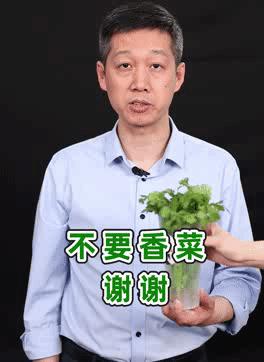 香菜有臭屁虫怎么回事,香菜为什么有臭屁虫的味道