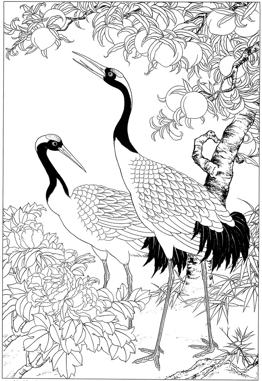 仙鹤桃子工笔白描稿,工笔画仙鹤高清图上色步骤图