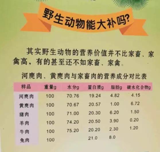 “野味”真的美味大补吗？多省份发文禁食