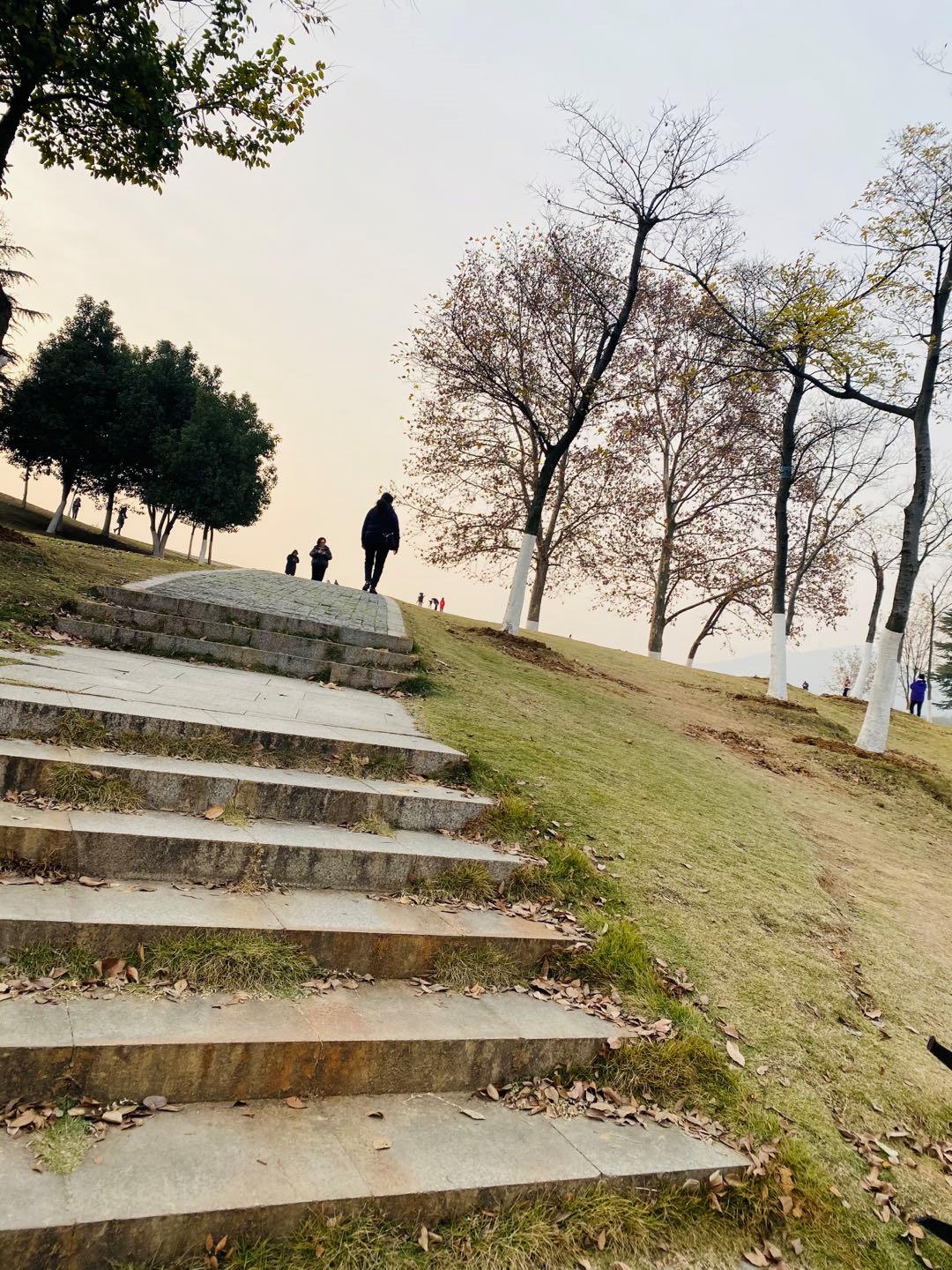 南京最适合夜晚的公园,南京周末户外打卡景点