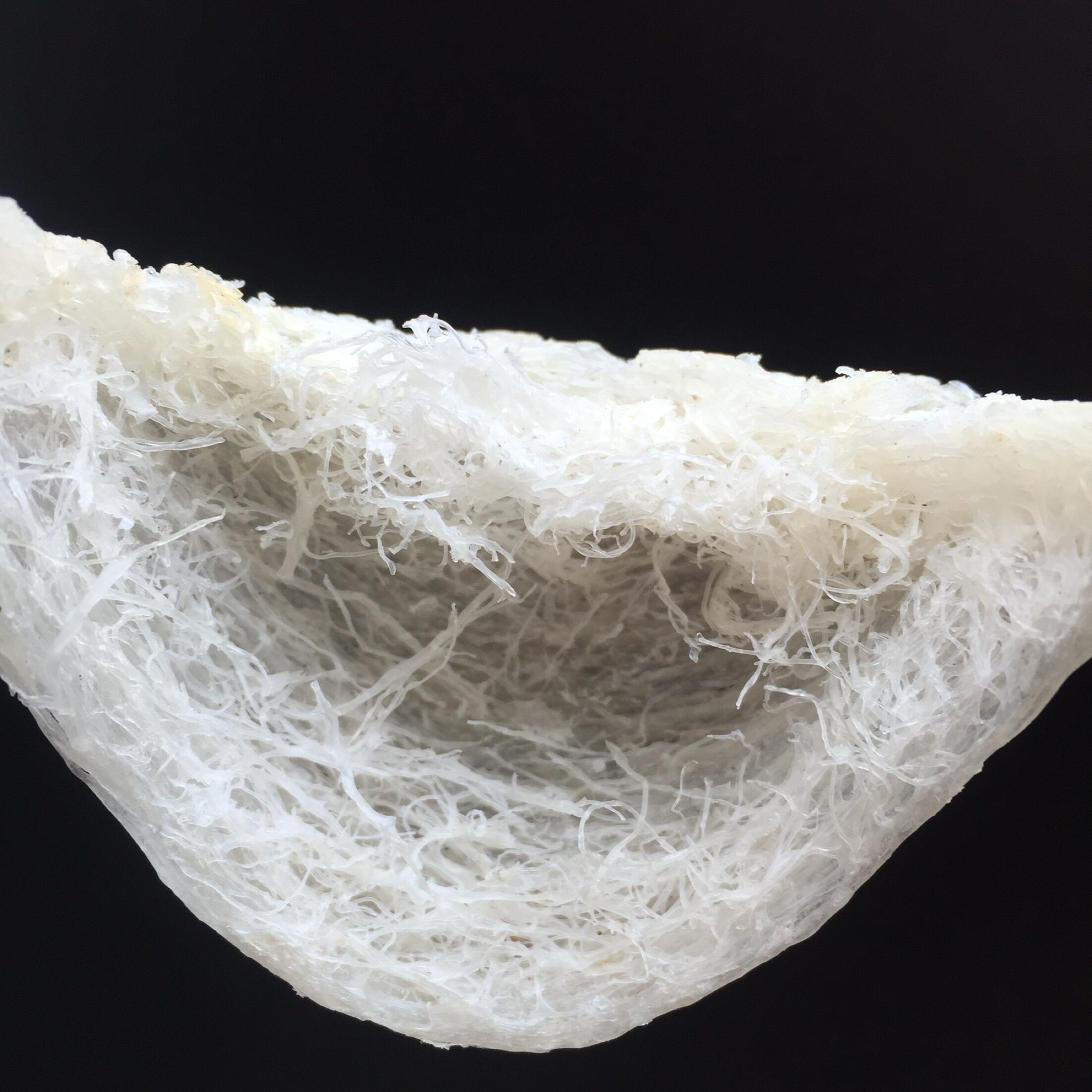 马来西亚假燕窝,假燕窝如何鉴别