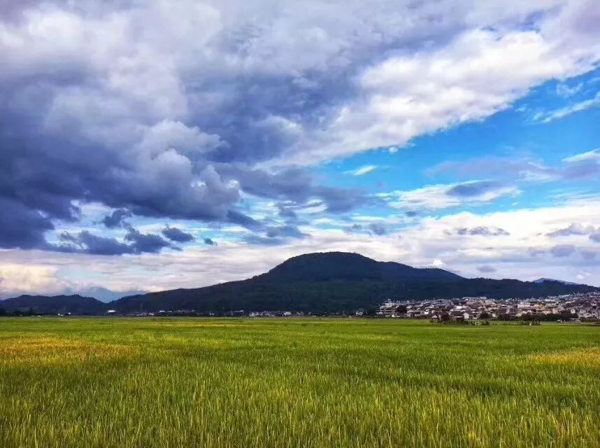 中国最好的柏联酒店,国内最好的柏联酒店