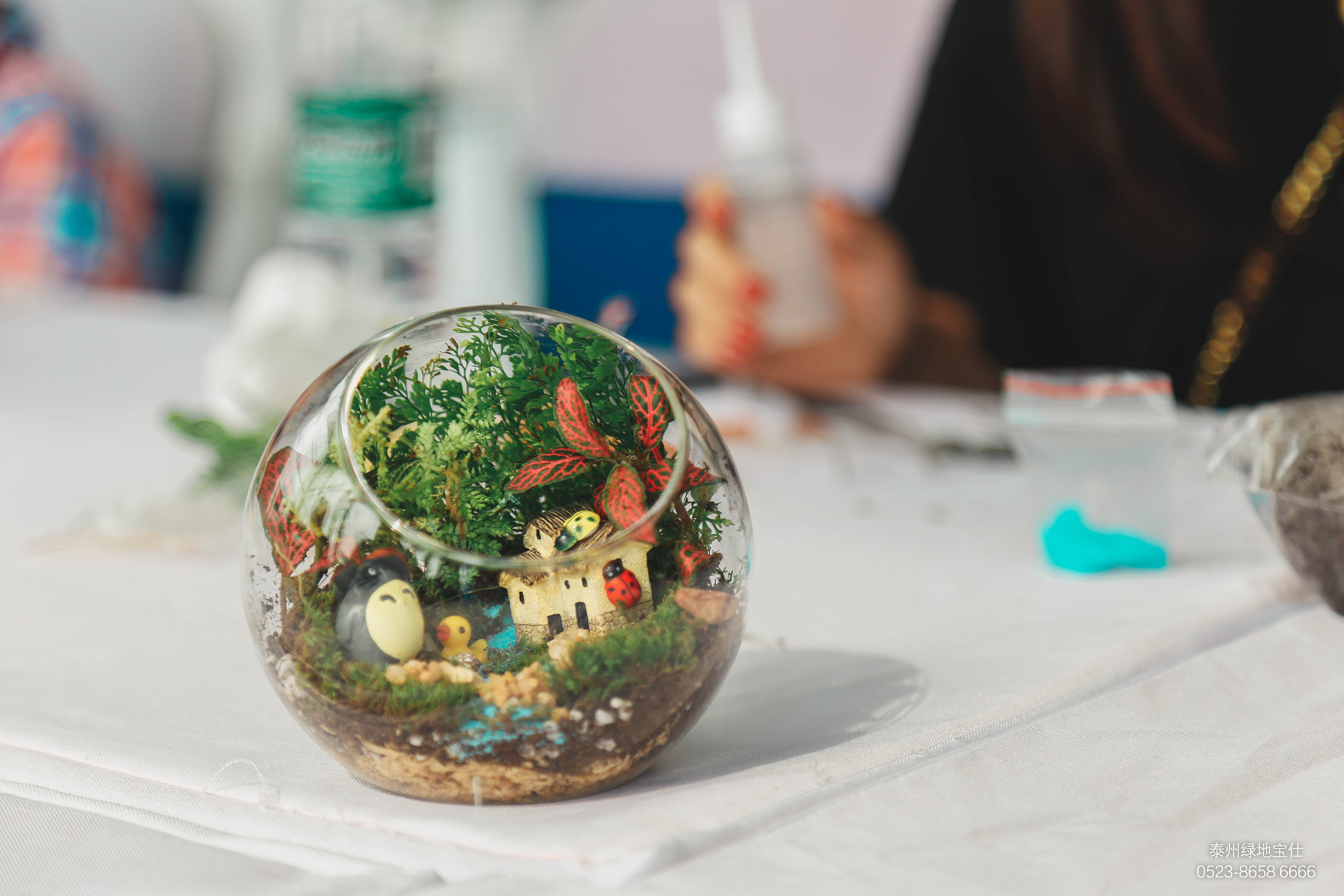 淮安绿地宝仕车主讲堂,泰州绿地宝仕车评