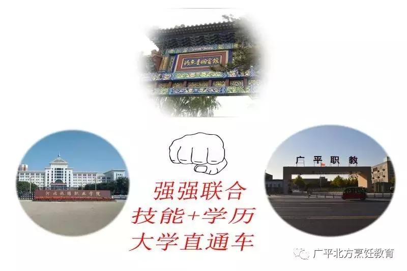 广平北方国际职教中心面积,北方国际职业教育有中专吗