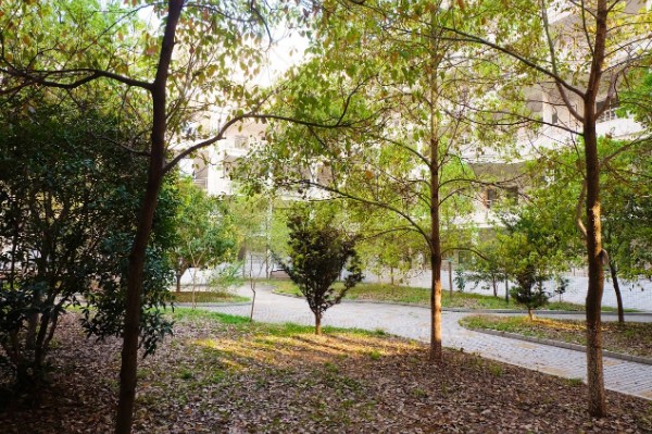 巴中市第四中学西华山春游,巴中高中春游