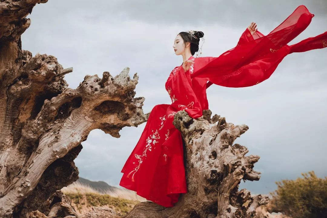 秋季焕新开学季,秋季焕新大促