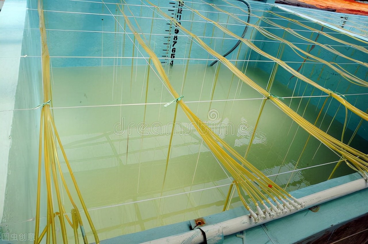 最挣钱的养殖业养殖什么不愁销路,见效快的养殖业十大暴利养殖行业