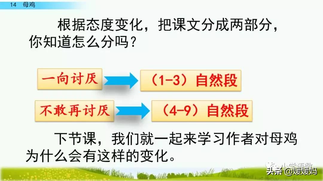 四年级下册第13课小练笔仿写母鸡,四年级下册14课母鸡的预习完整版