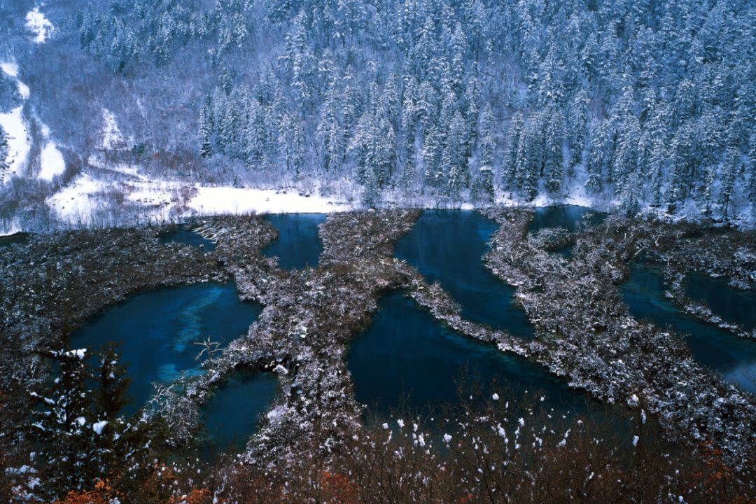 九寨沟跟团2天旅游团报价,重庆九寨沟旅游团正常价格
