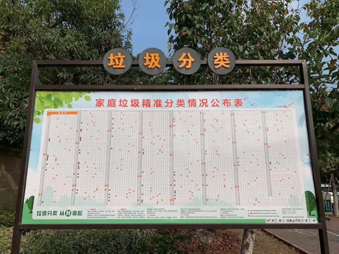 如何准确垃圾分类,小区垃圾分类投放点应设置在哪里