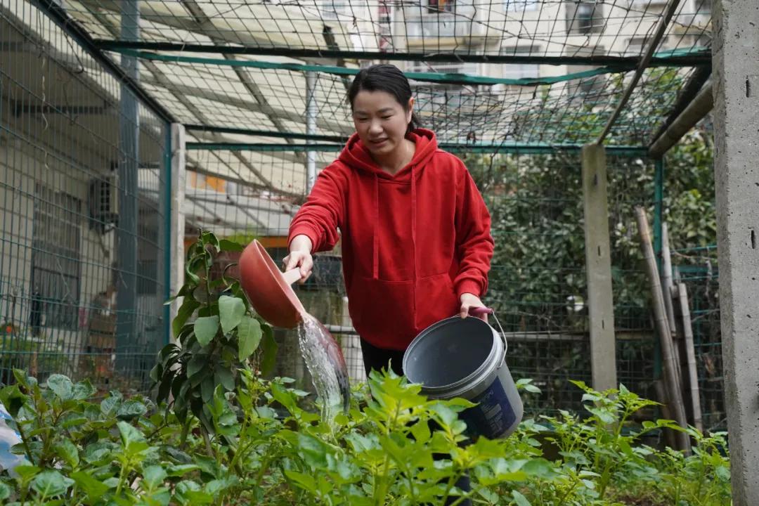 全国优秀公安局玉山县公安局,玉山县公安局全国优秀公安局