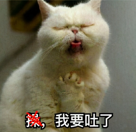 拍个吻戏搞这么多辣眼睛的花招,求求了,放过观众吧