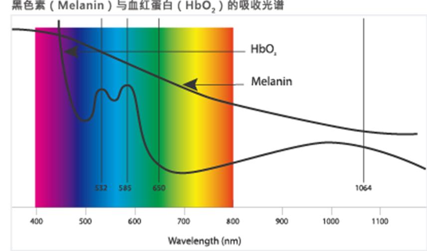 秋季滋润皮肤干燥的汤,秋季怎么保养皮肤