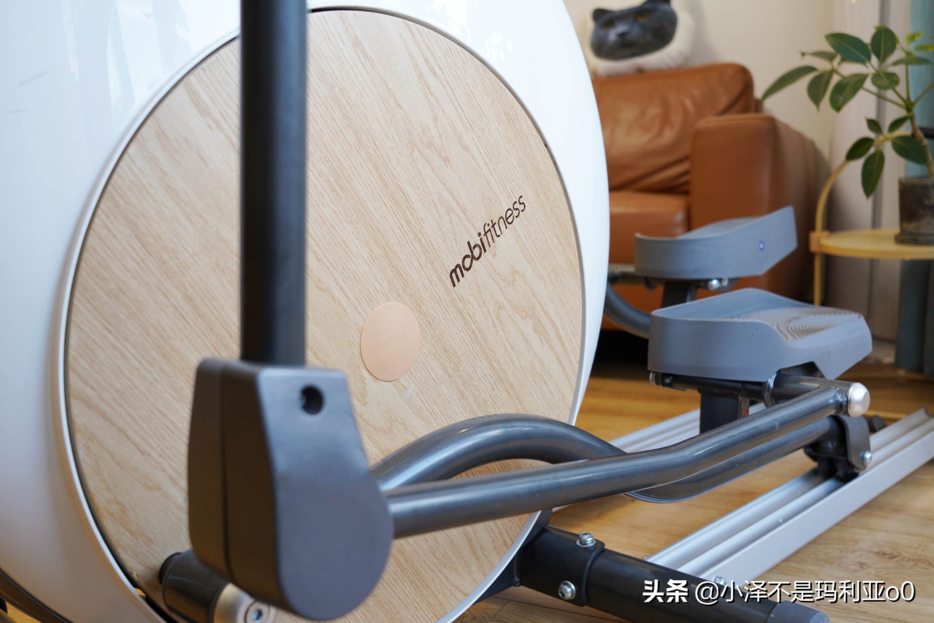 干货输出|细腰翘臀、燃脂塑形，小姐姐手把手教你练习椭圆机