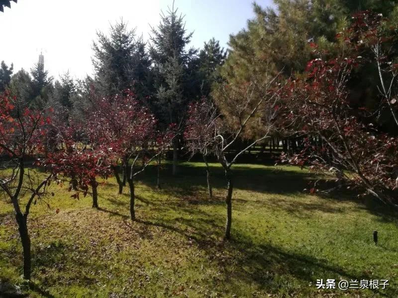 立冬自然风景,立冬雪景山水风景视频