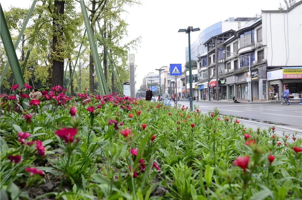 美了美了！涉及双流四个街区，34条街道！在你家附近吗？
