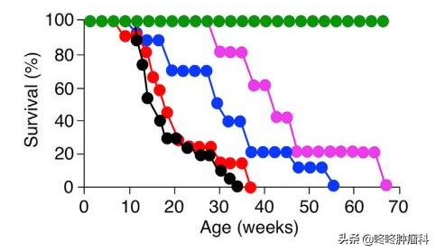 癌中之王胰腺癌居然治愈了,胰腺癌靶向治疗生存期