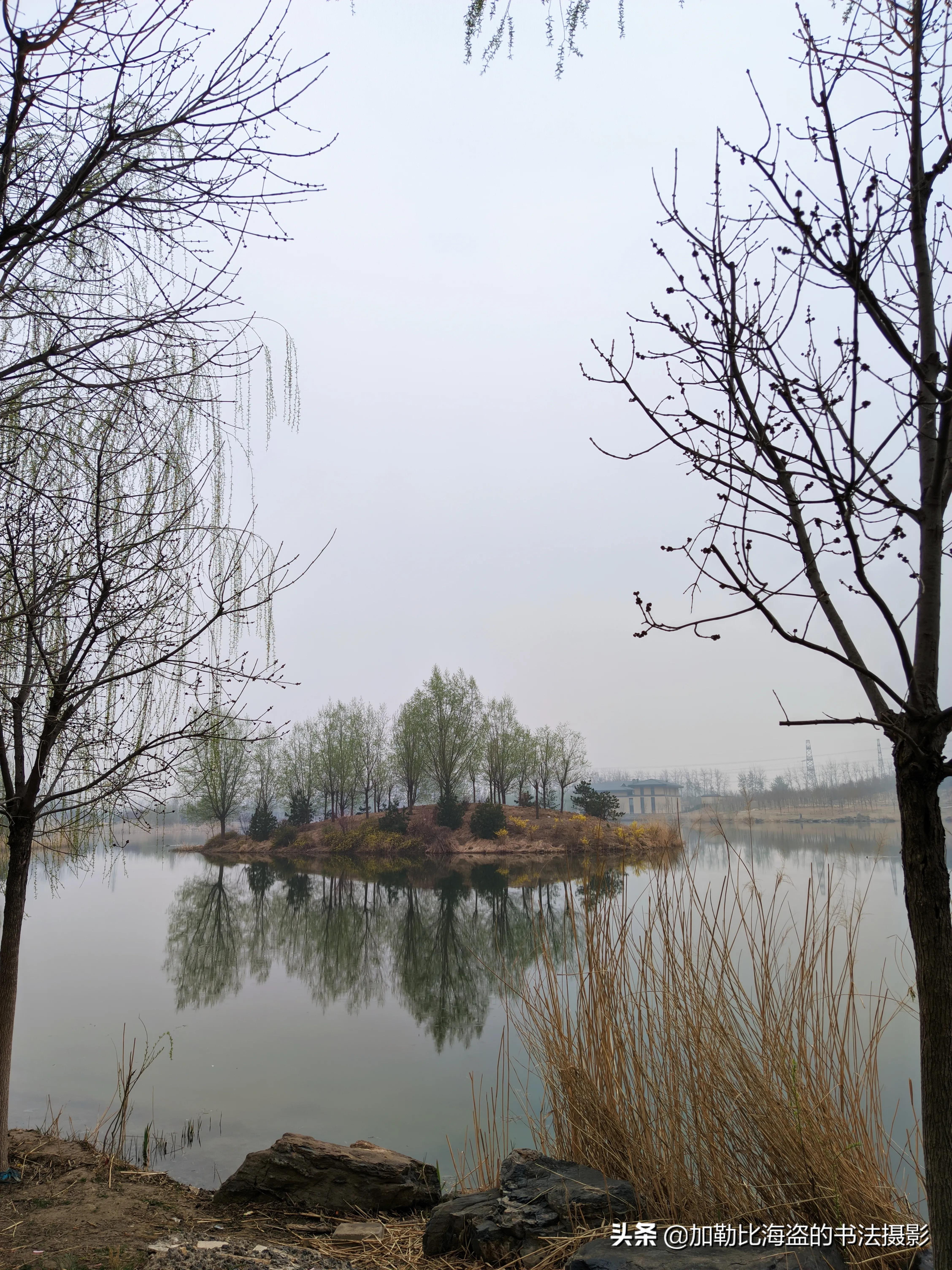 如何在公园里拍出氛围感照片,公园摄影怎么拍出高级感