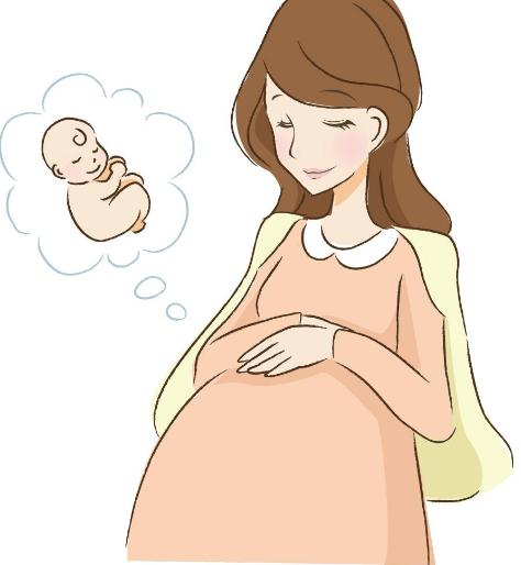 备孕手册,备孕准爸妈们这些备孕误区要不得