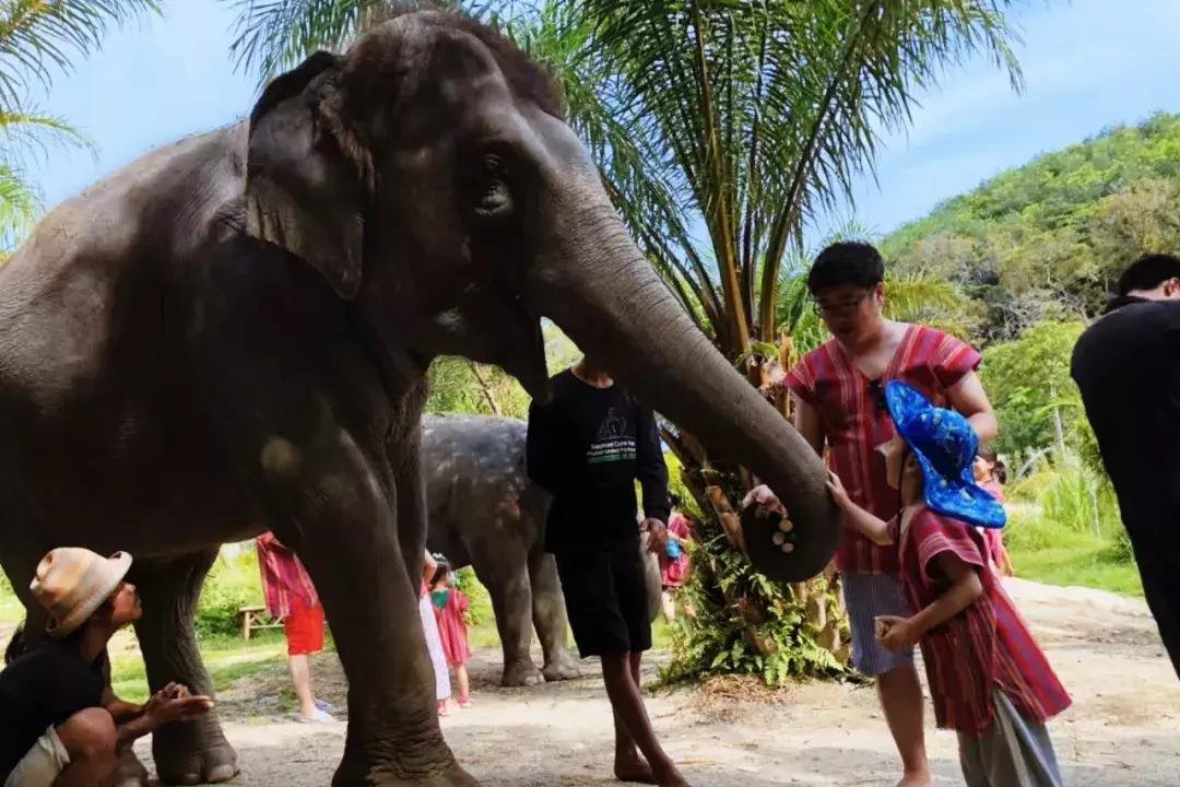 普吉岛7天6晚,普吉岛6天5晚高品质纯玩