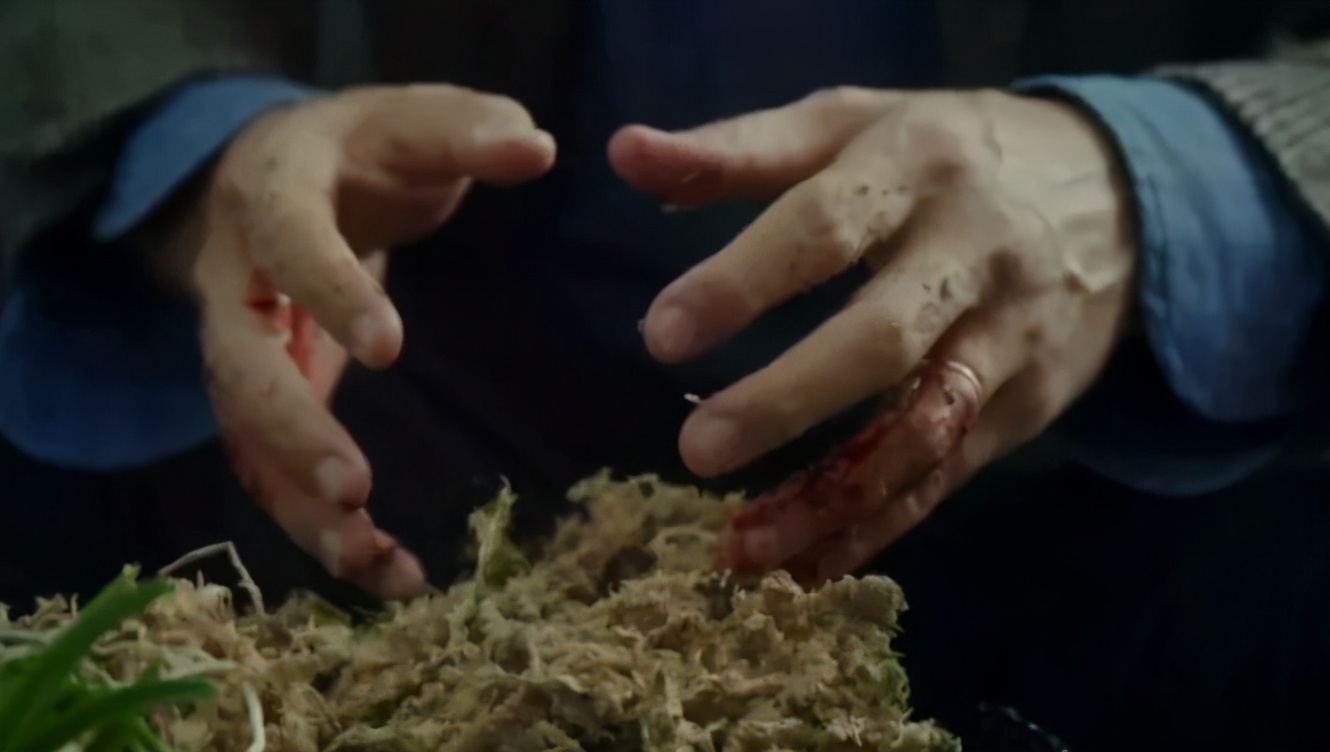 这部目前8分的网剧,8.9分的电视剧