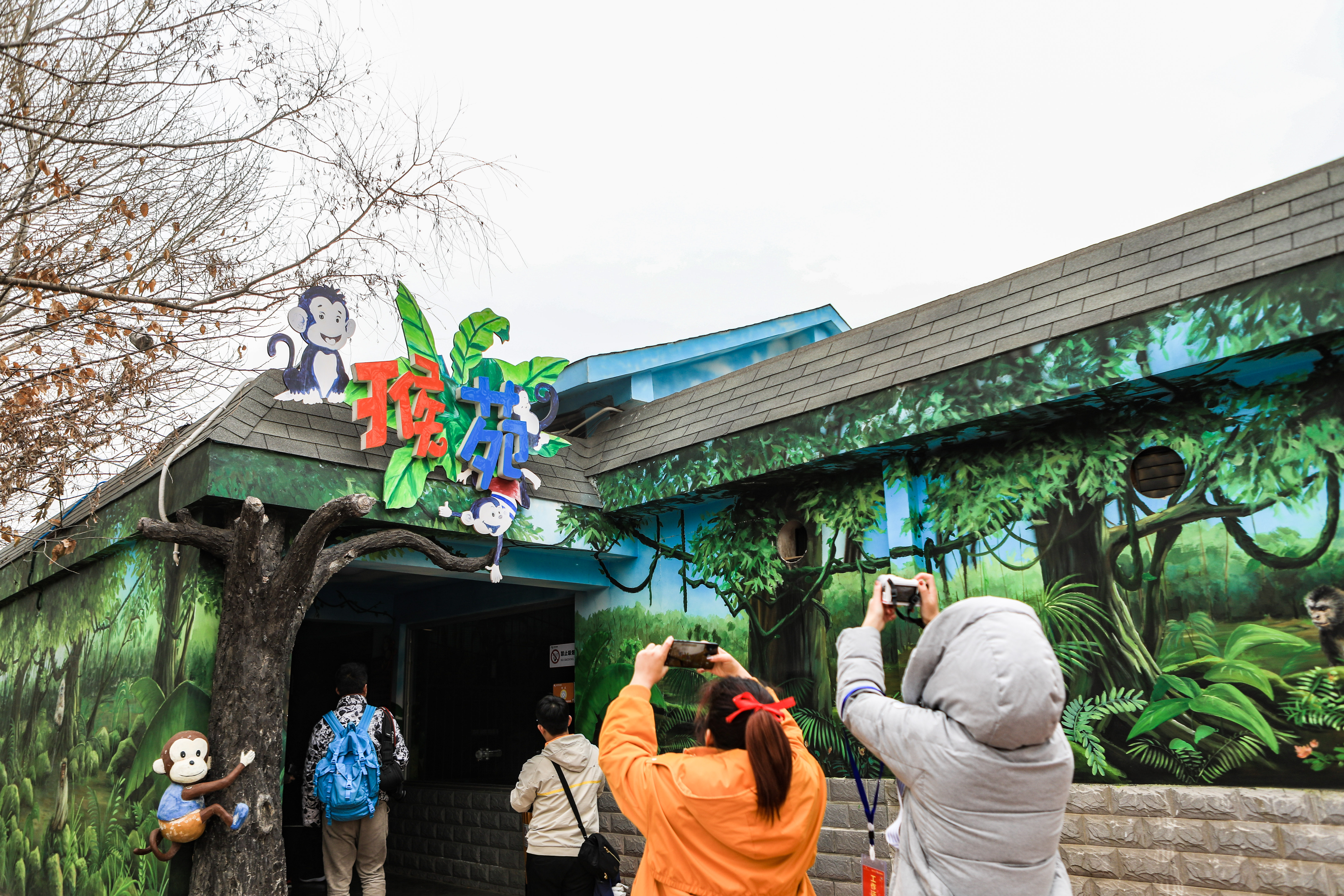 这是西北首个野生动物园，实测喂老虎是一种怎样感受！刺激