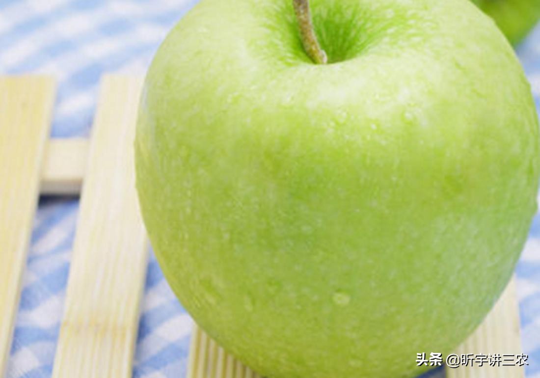 苹果树修剪一个人一天能修剪多少,大苹果树落叶修剪还是落叶前修剪