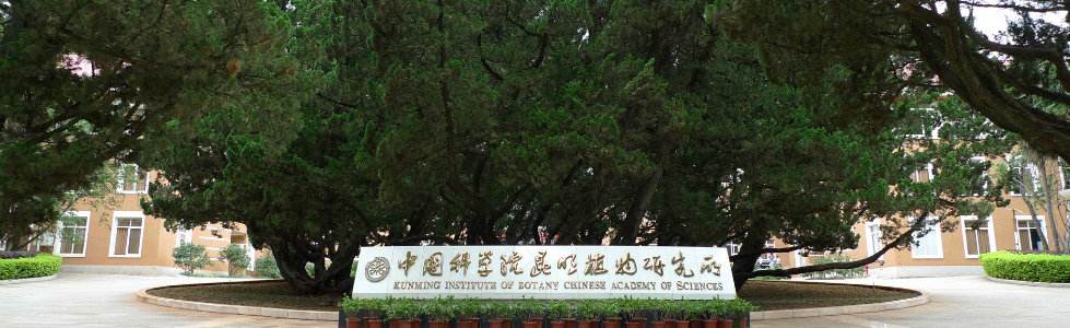 云南有哪些医学研究生院校容易考,云南有什么院校招研究生