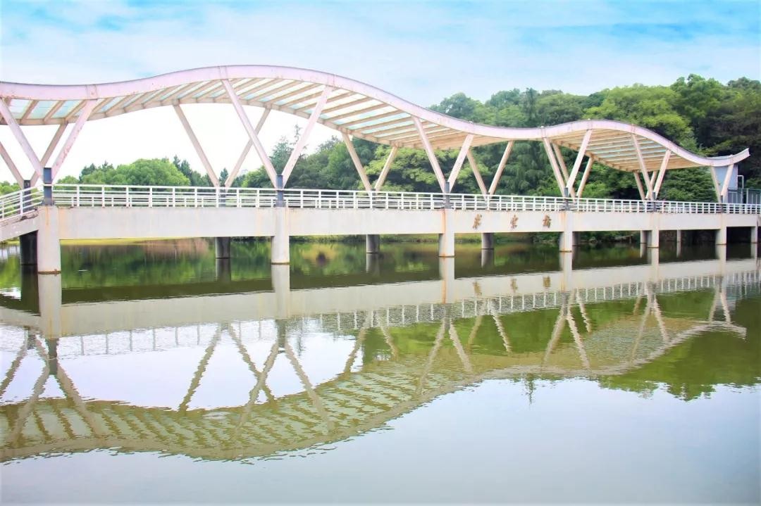 上升120名！湖北经济学院“升级”为区域一流大学，排名再创新高！