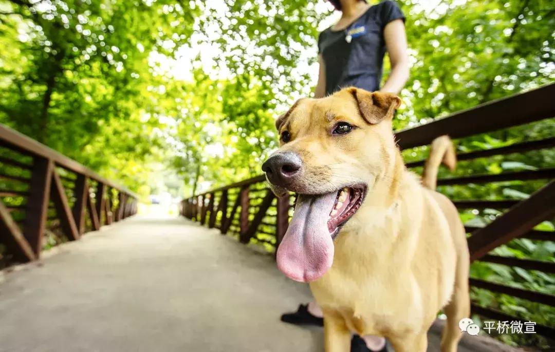 动真格整治方案,动真格整改落实