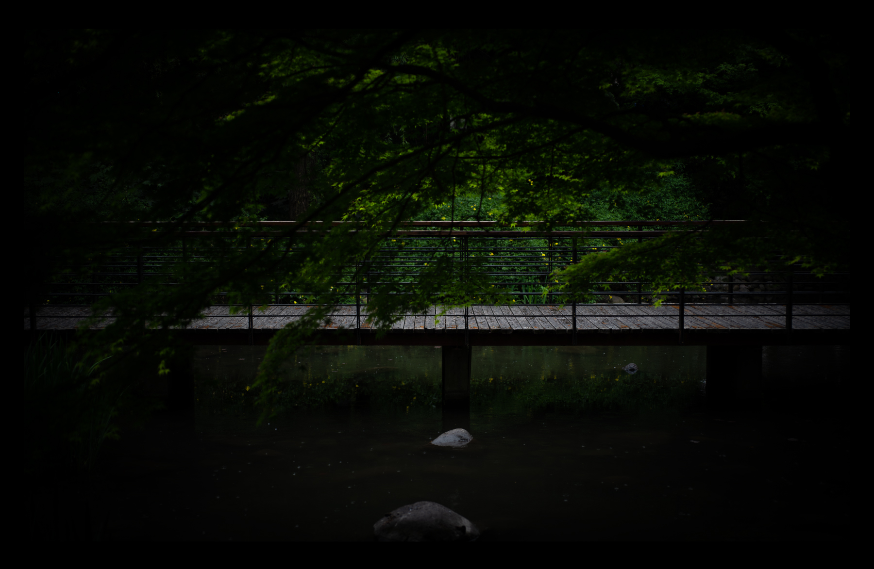 福伦达35mm1.5镜头好不好,福伦达35f2镜头评测