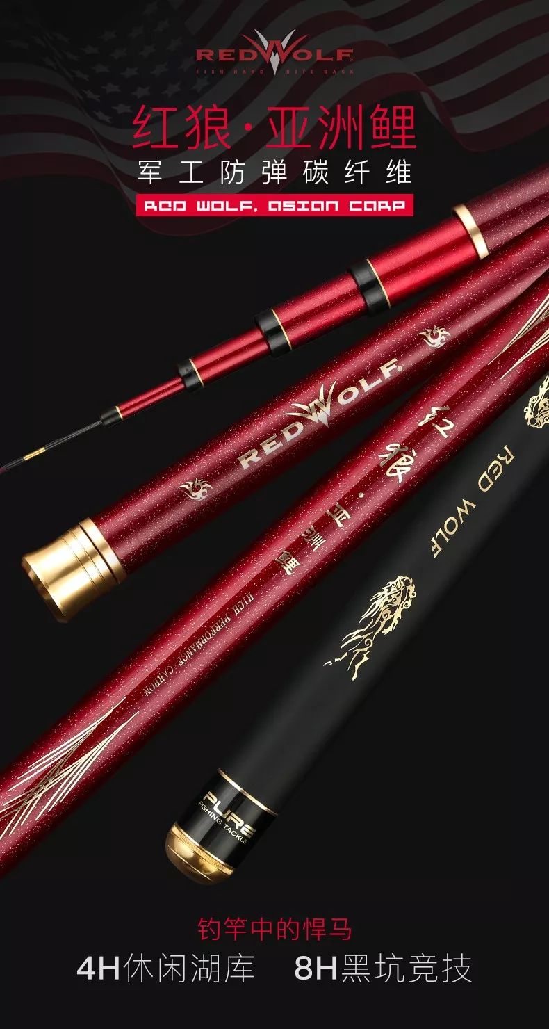 钓获超大鲤鱼,红狼亚洲鲤鱼竿钓重测评