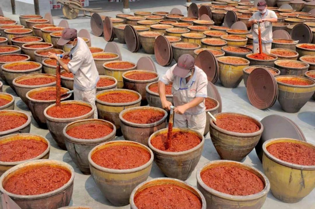 蜀人原乡完整版,三贤故里长寿之乡资阳