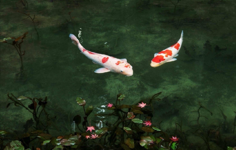 托福口语考试中的高频短语精选,雅思托福口语话题答题技巧