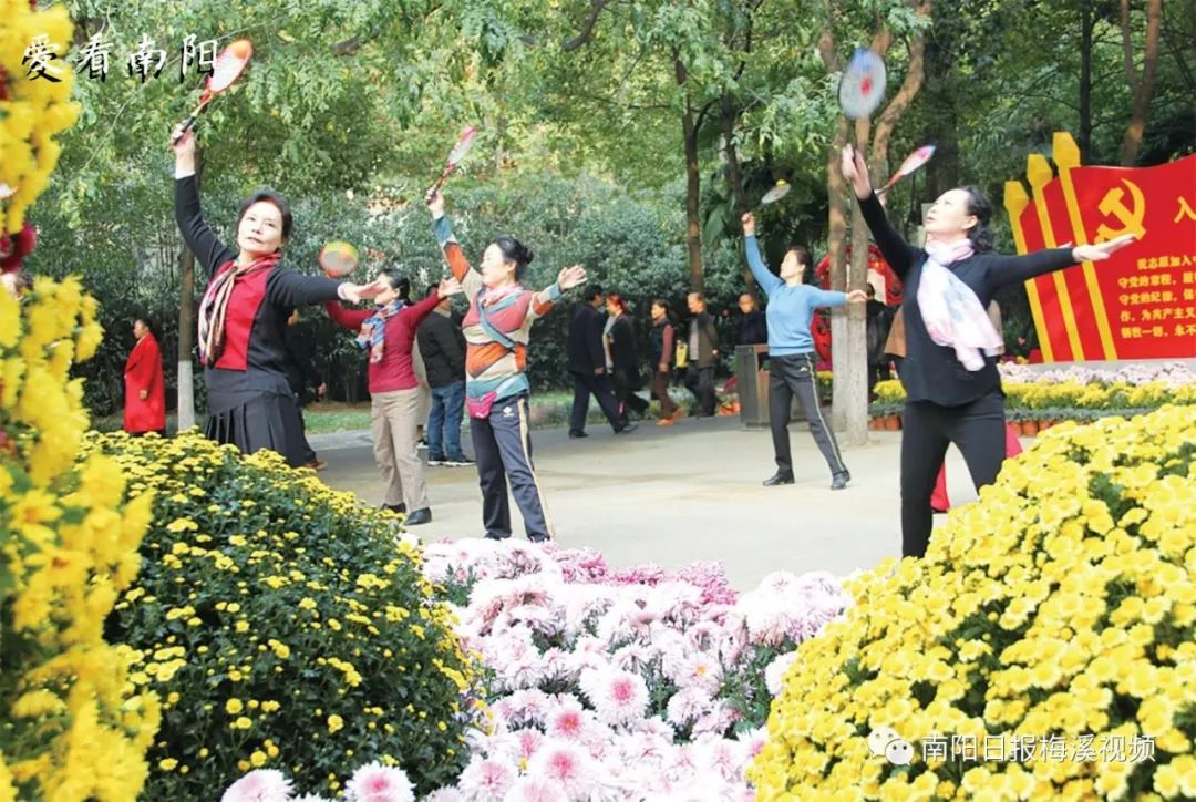 爱看南阳㉘初冬·暖阳依旧