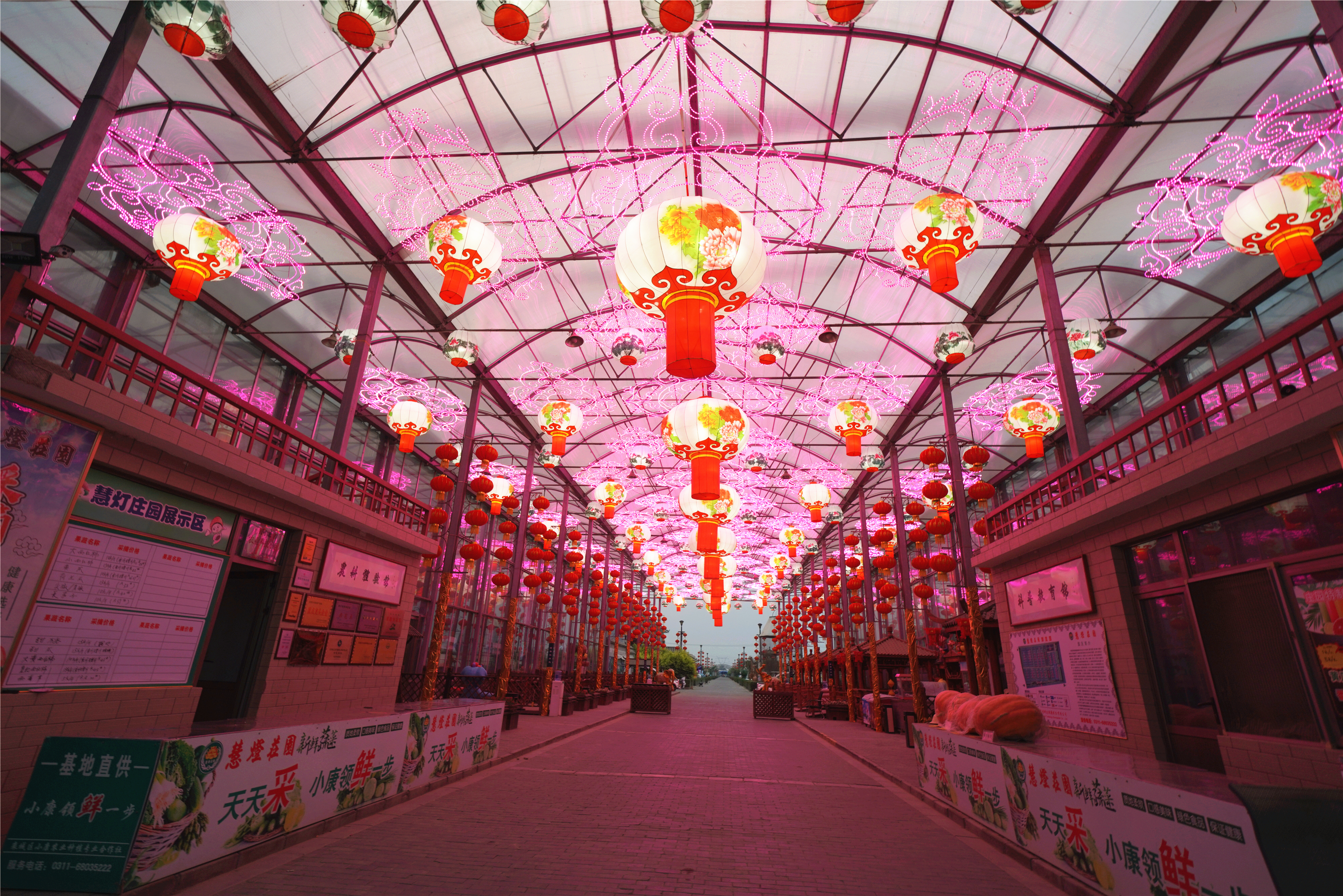 扎啤免费喝，狂欢100天仅需198元，慧灯庄园喊你盛夏尽情嗨